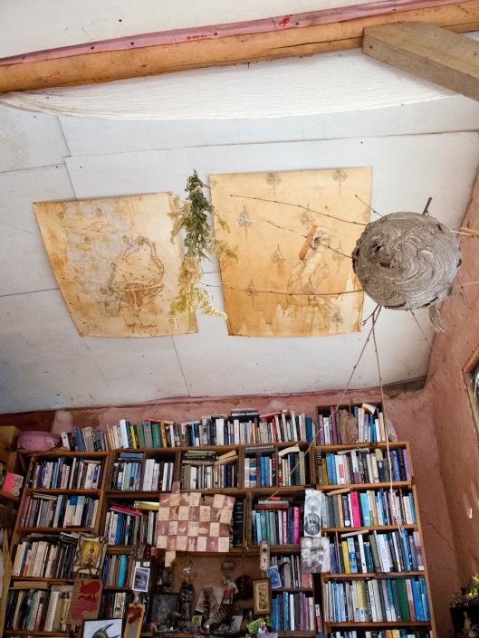 Books to ceiling and nests