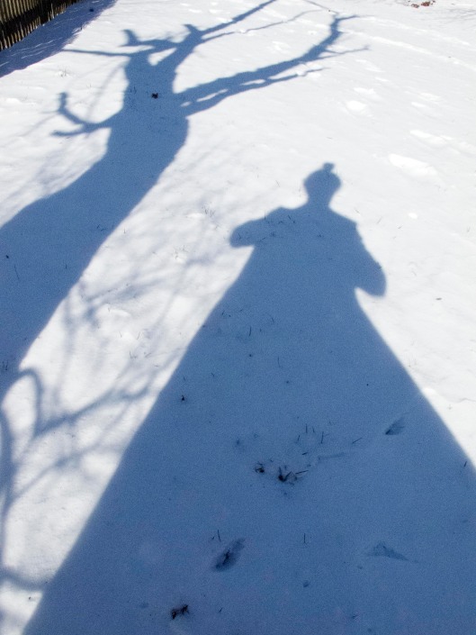 winter shadows