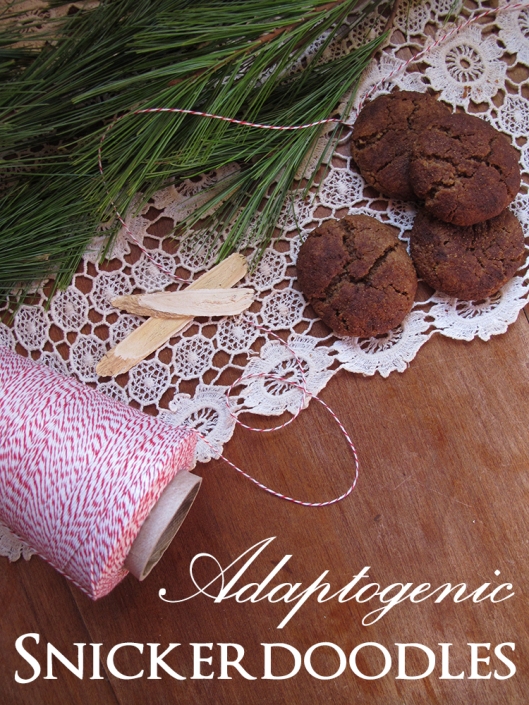Adaptogenic snickerdoodles with text